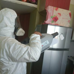 Уничтожение насекомых в квартире. Нагатинский Затон 